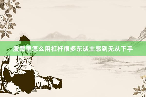 股票里怎么用杠杆很多东谈主感到无从下手
